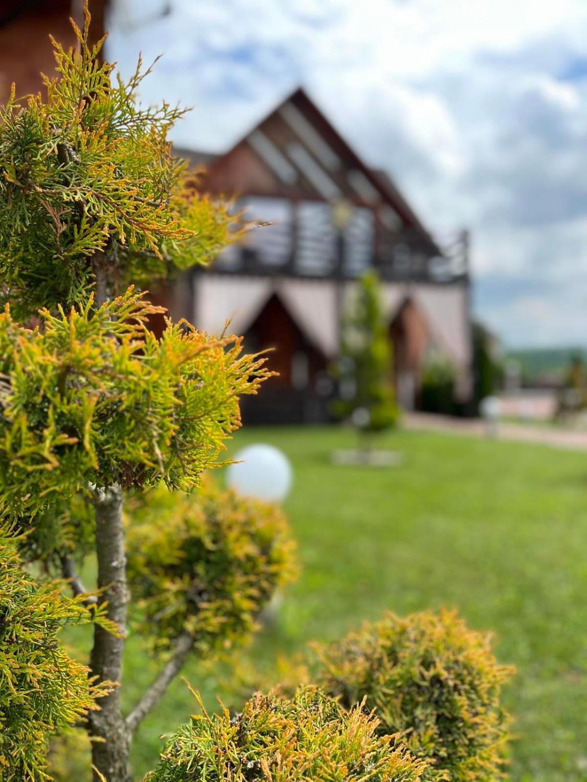 Four Seasons In Carpathians Hotel Myhove Buitenkant foto